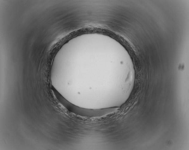 X0000096450919200802211230