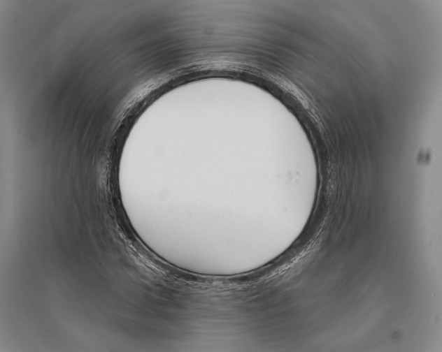 X0000096450922200802211230