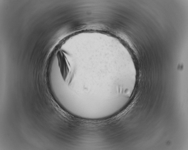 X0000096450923200802211230