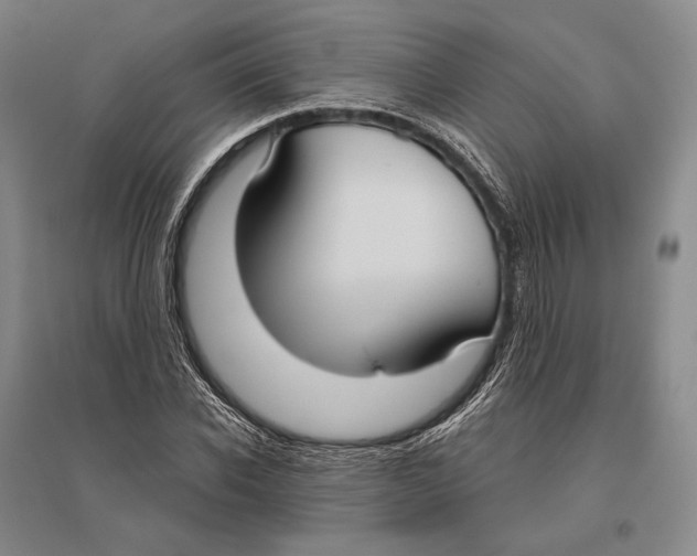 X0000096450926200802211230