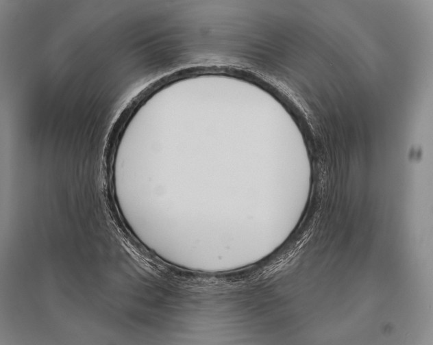 X0000096450927200802211230