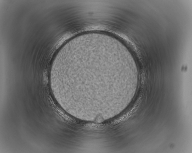 X0000096450929200802211230