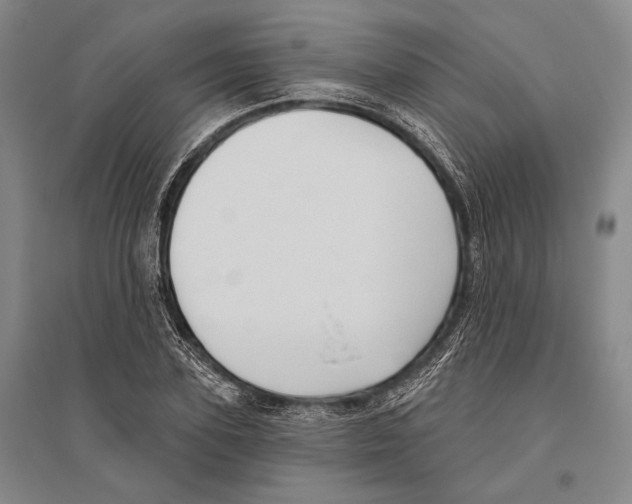 X0000096450931200802211230