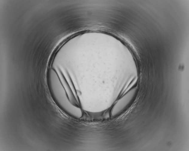 X0000096450932200802211230