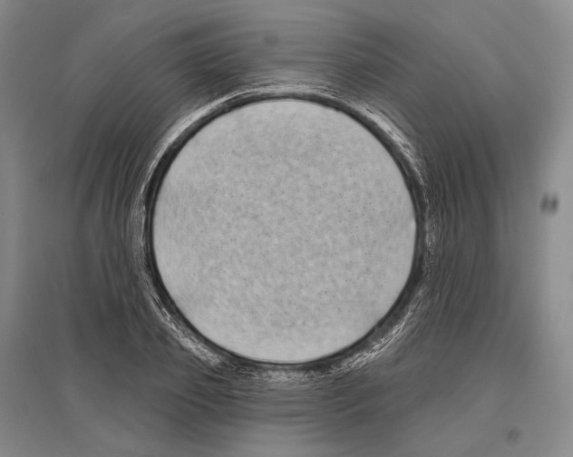 X0000096450933200802211230