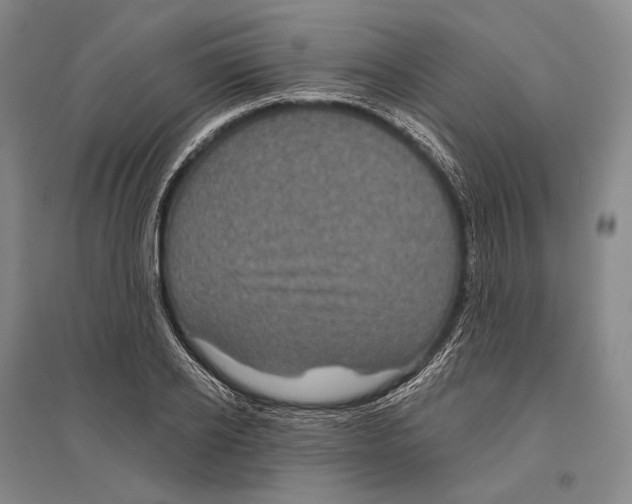 X0000096450934200802211230