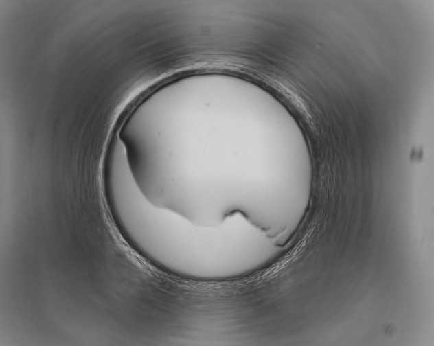 X0000096450936200802211231