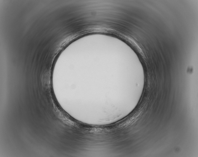 X0000096450938200802211231