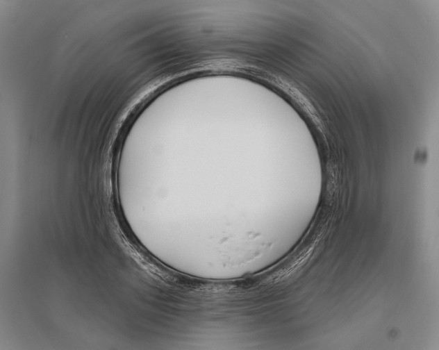 X0000096450939200802211231