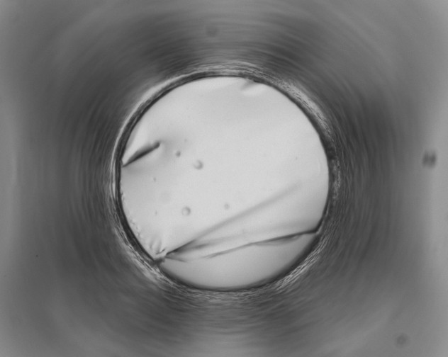 X0000096450940200802211231