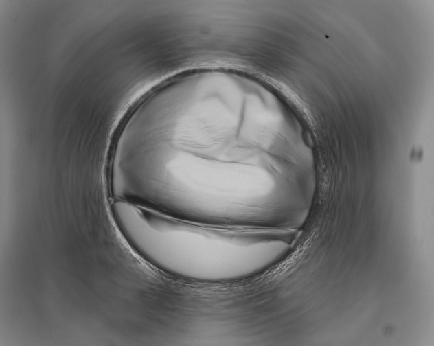 X0000096450943200802211231