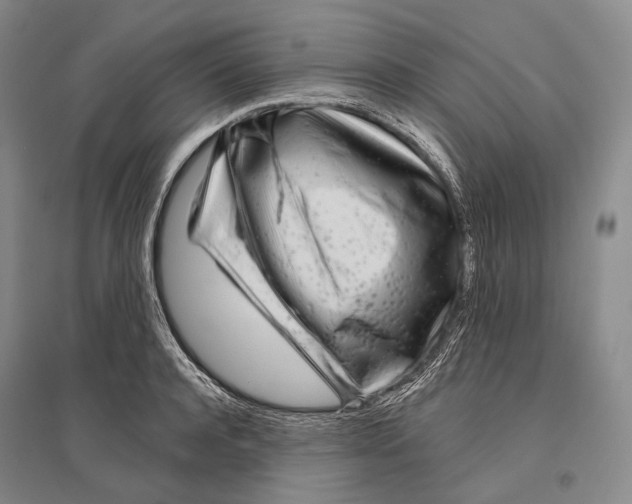 X0000096450944200802211231