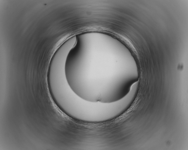 X0000096450946200802211231