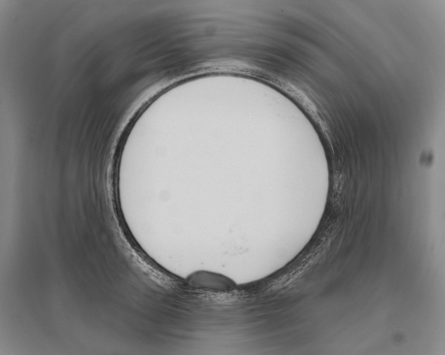 X0000096450947200802211231