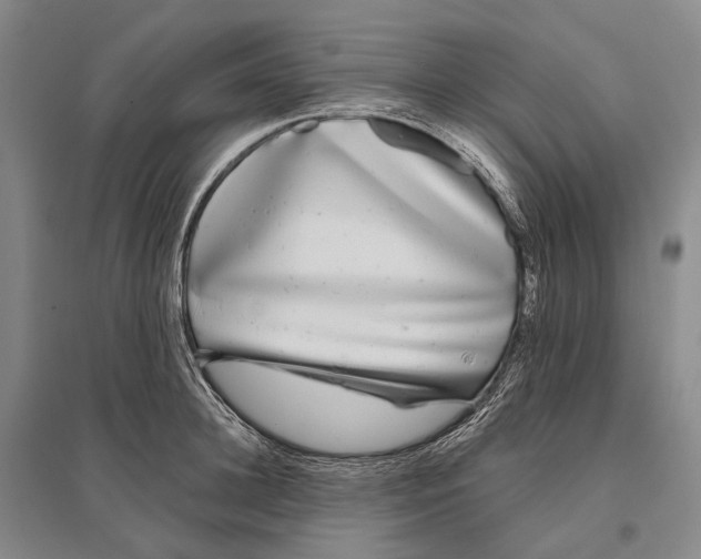 X0000096450948200802211231