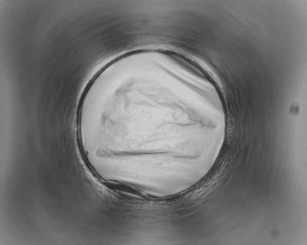 X0000096450951200802211231