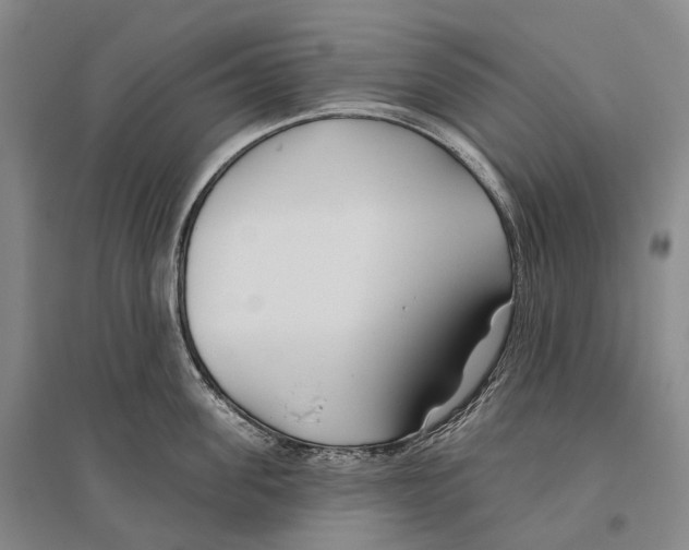 X0000096450955200802211231