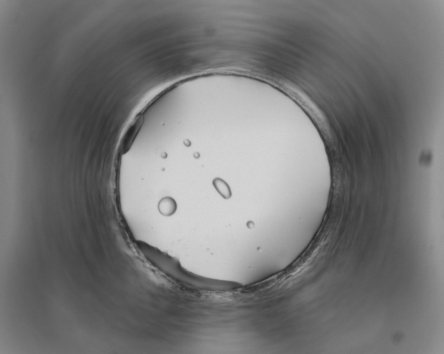 X0000096450956200802211231