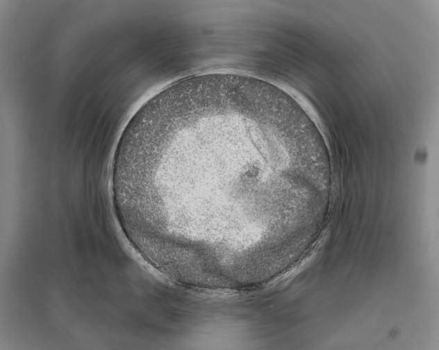 X0000096450957200802211231