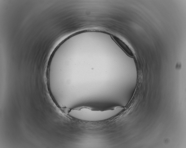 X0000096450959200802211231