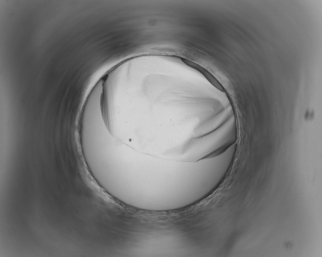 X0000096450960200802211231