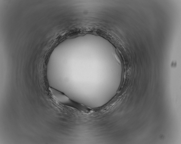 X0000096450961200802211230