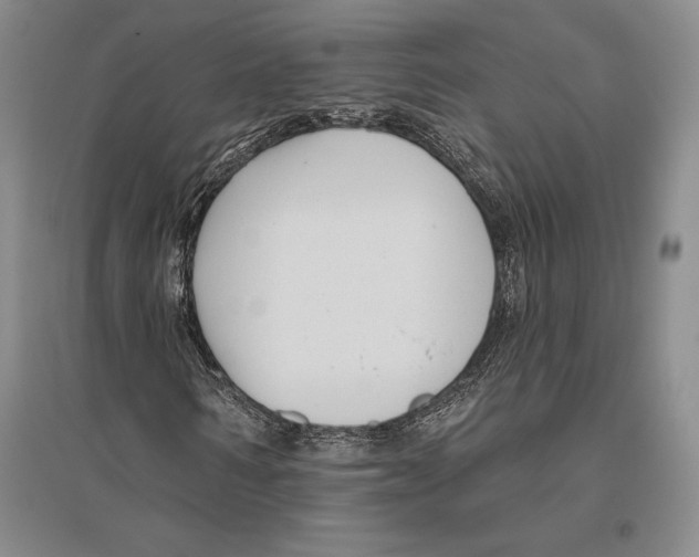 X0000096450962200802211230