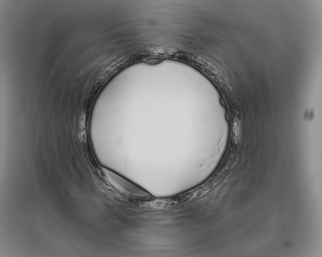 X0000096450963200802211230