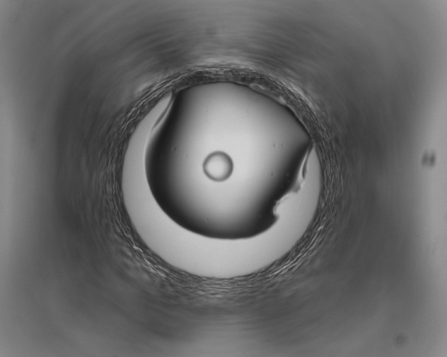 X0000096450965200802211230