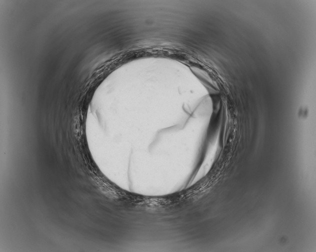 X0000096450966200802211230