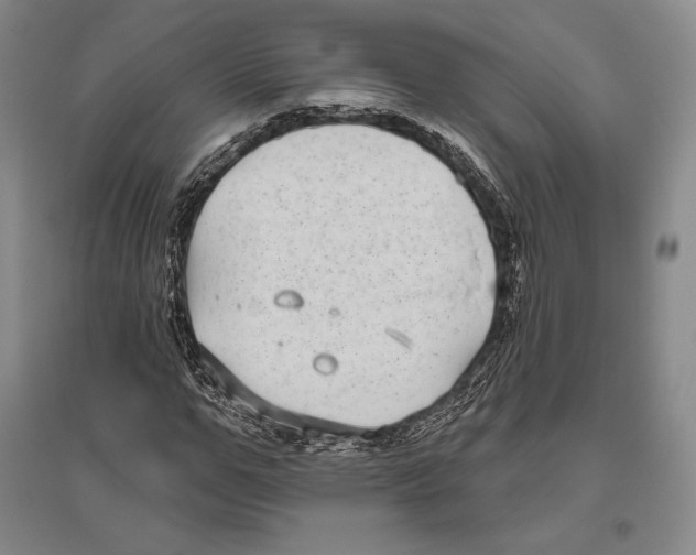 X0000096450967200802211230