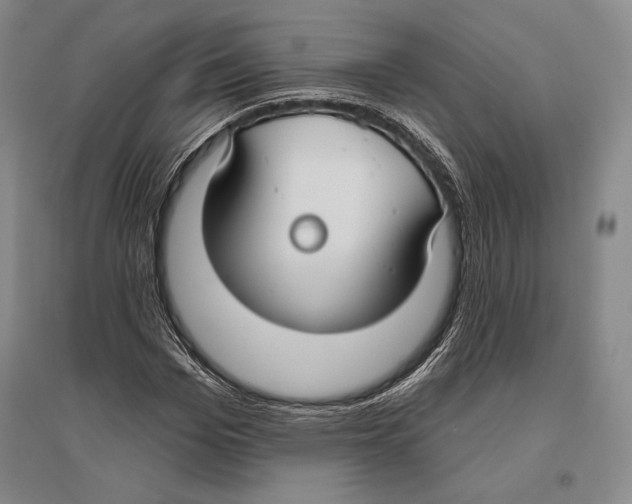 X0000096450969200802211230