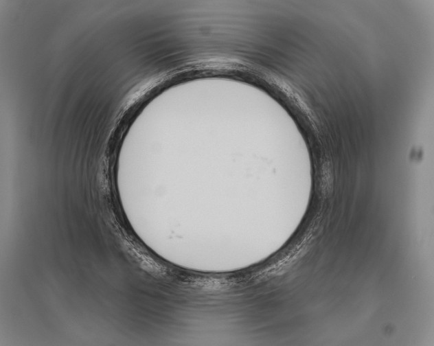 X0000096450970200802211230