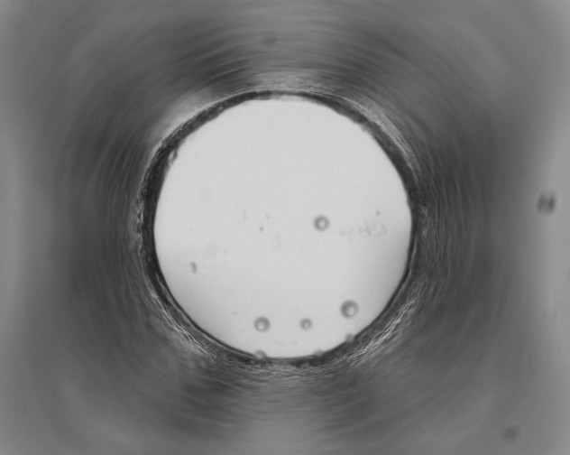 X0000096450971200802211230