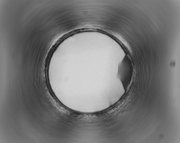 X0000096450972200802211230