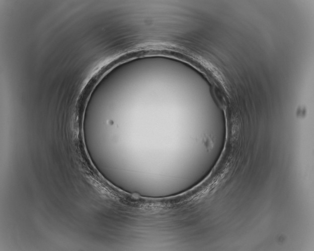 X0000096450973200802211230