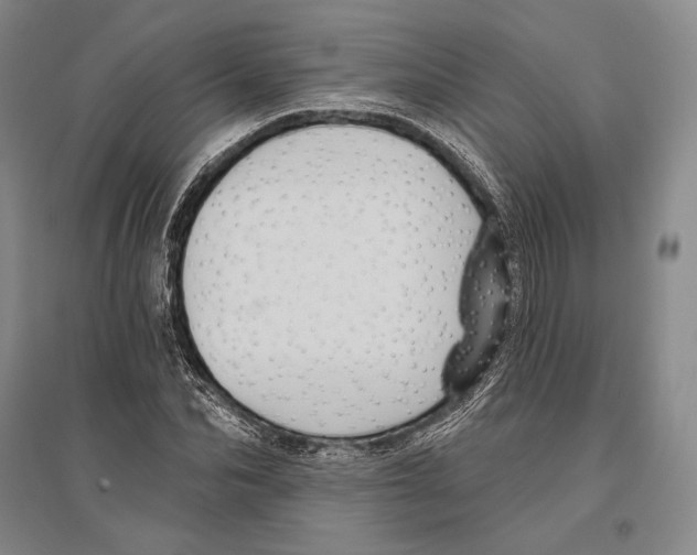 X0000096450974200802211230