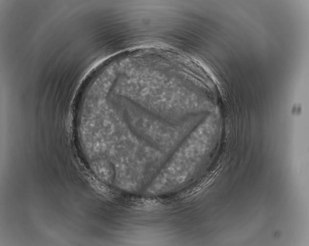 X0000096450975200802211230