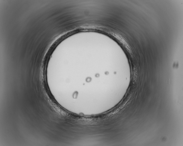 X0000096450976200802211230