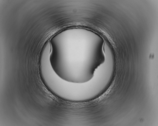 X0000096450977200802211230