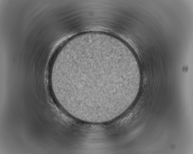 X0000096450979200802211230