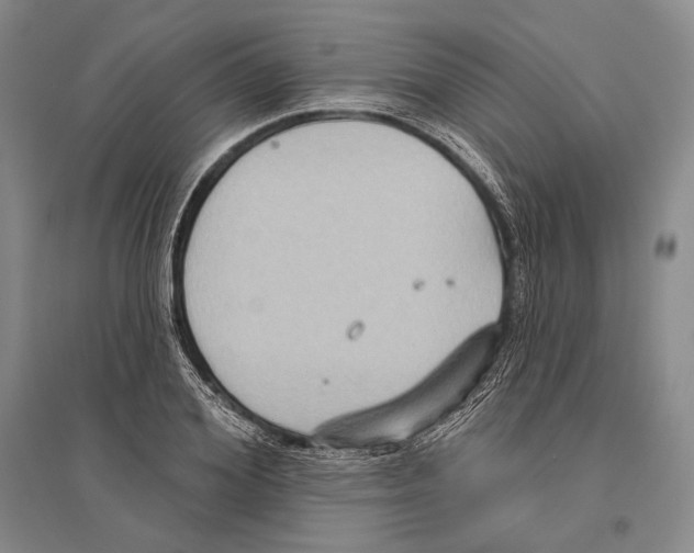 X0000096450980200802211230