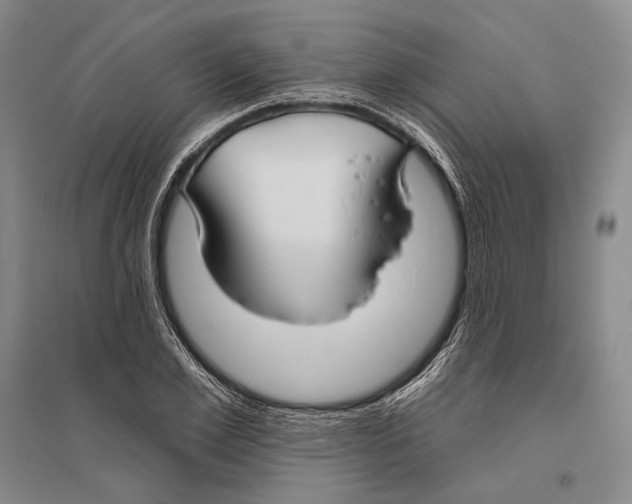 X0000096450981200802211230