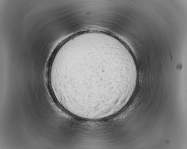 X0000096450987200802211230