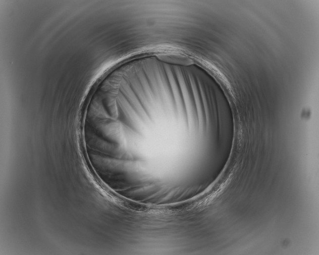 X0000096450989200802211230