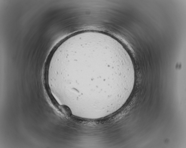 X0000096450991200802211230