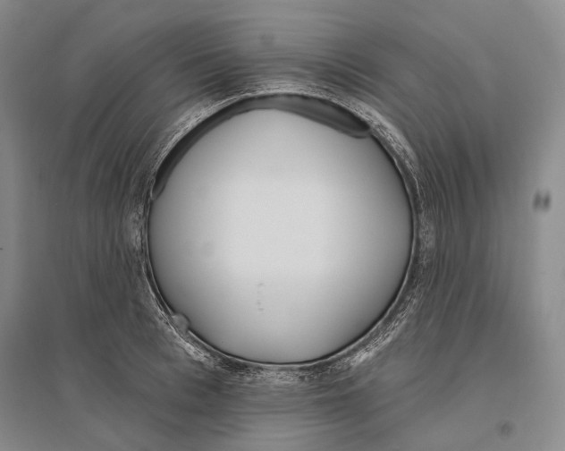 X0000096450993200802211230