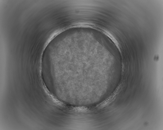 X0000096450994200802211230