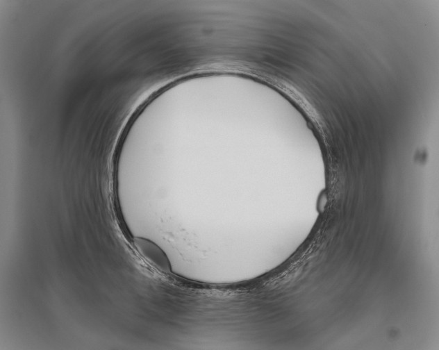 X0000096450996200802211230