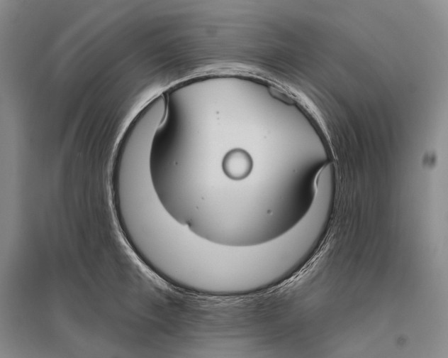 X0000096450997200802211230